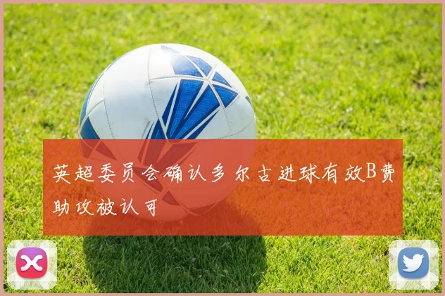 英超委员会确认多尔古进球有效B费助攻被认可
