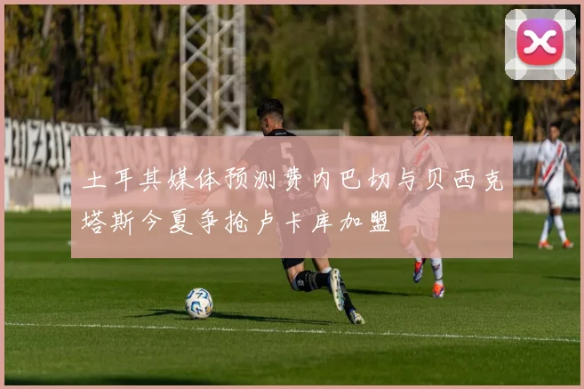 土耳其媒体预测费内巴切与贝西克塔斯今夏争抢卢卡库加盟